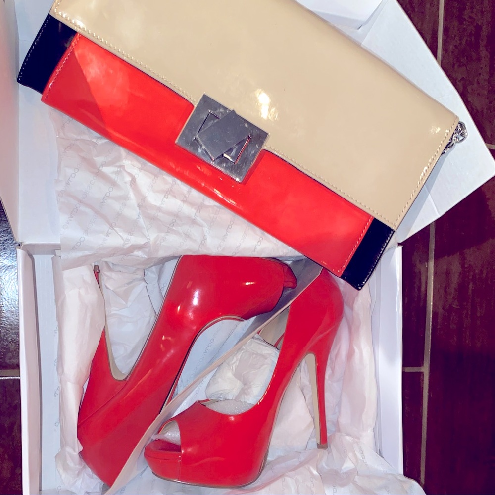 Aldo stiletto AND clutch set -WORN ONCE